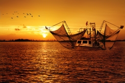 shrimp boat at sunrise